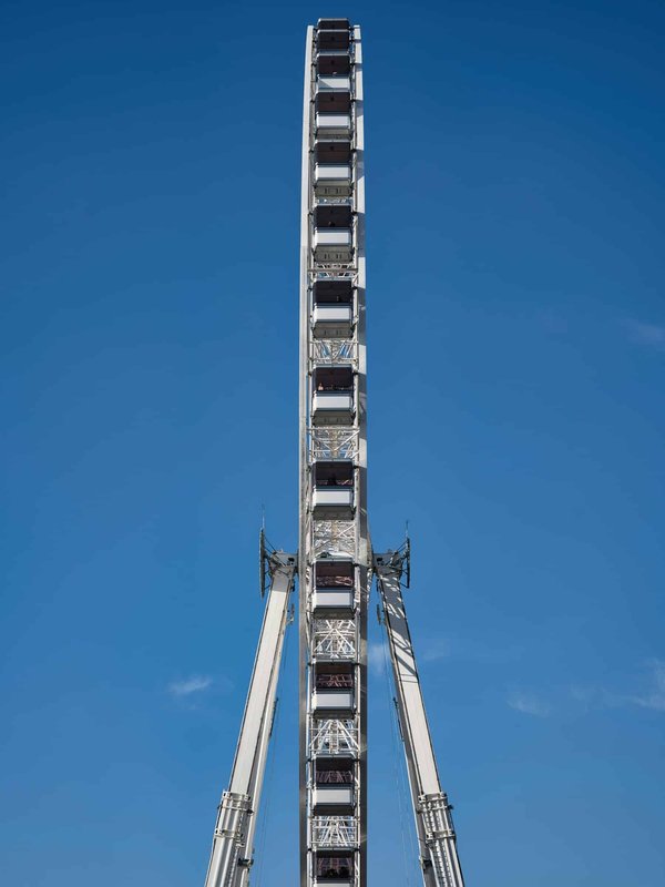 What's the Best Type of Exercise Wheel for a Dwarf Hamster?