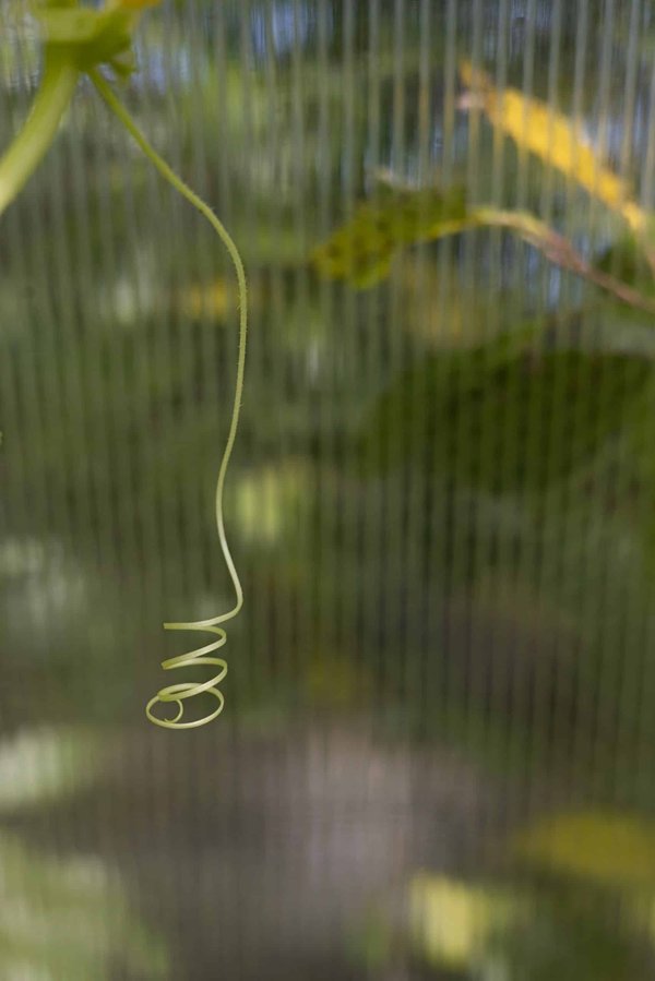 Can AI Assist in Personalizing Education for Students with Special Needs?